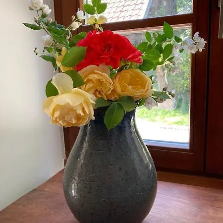 Du Hibou - Jolie Dependance Sur Verger *