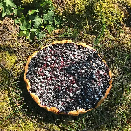 Du Hibou - Jolie Dependance Sur Verger Casa de Férias