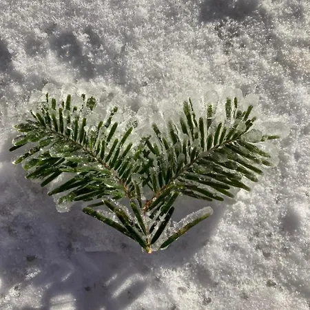 Casa de Férias Du Hibou - Jolie Dependance Sur Verger