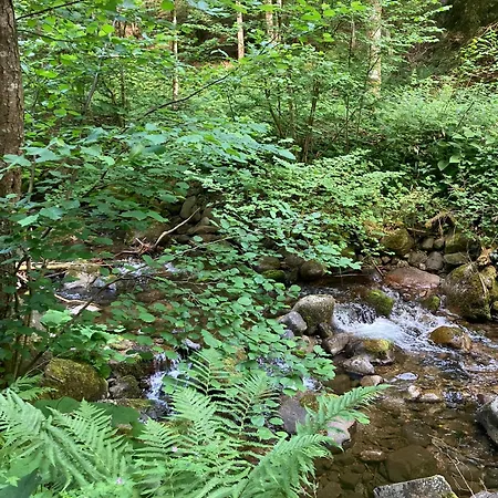 Du Hibou - Jolie Dependance Sur Verger * Muhlbach-sur-Munster